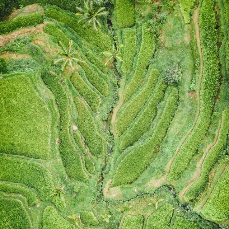 Entertainment zone at night in Portugal